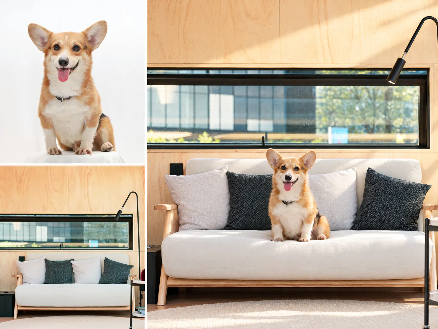 Duas imagens de referência à esquerda, um corgi sobre fundo branco e uma sala com sofá branco, e à direita a imagem gerada por IA do corgi sentado nesse sofá